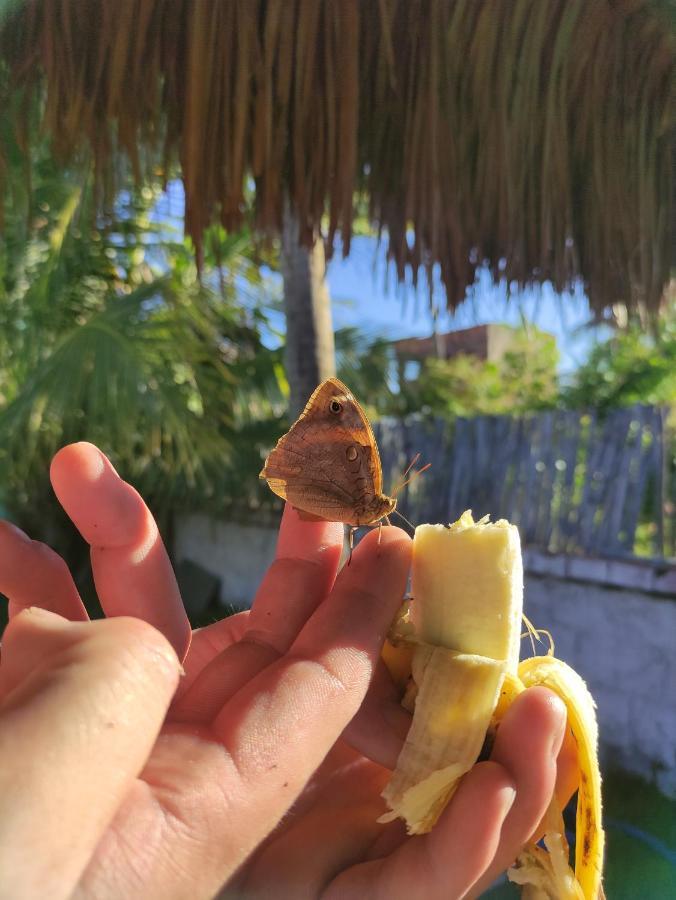 Vila Da Sereia Hostel E Pousada Icaraí Eksteriør billede